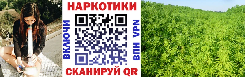 Купить наркотики Лосино-Петровский Канабис  Альфа ПВП  КОКАИН  ГАШИШ  Меф мяу мяу 