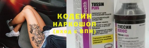 стаф Верея