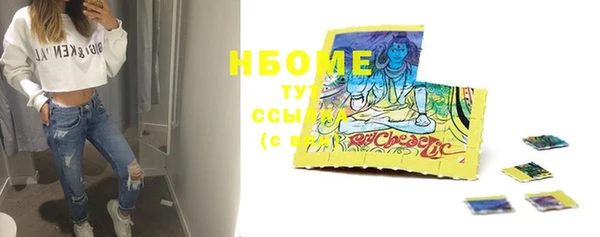 стаф Верея
