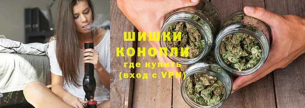 стаф Верея