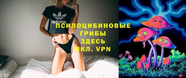 стаф Верея